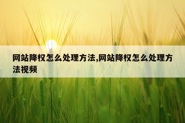 网站降权怎么处理方法,网站降权怎么处理方法视频