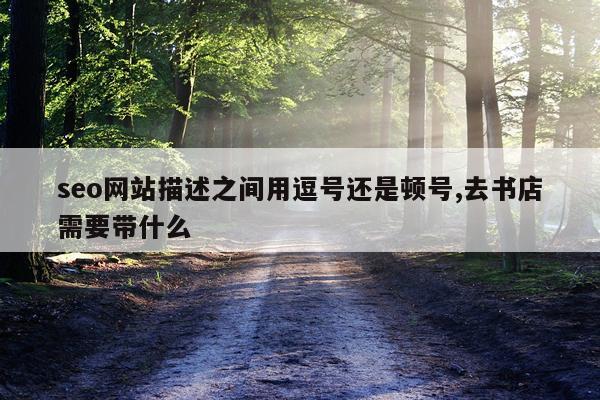 seo网站描述之间用逗号还是顿号,去书店需要带什么