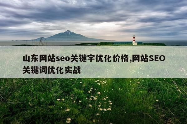 山东网站seo关键字优化价格,网站SEO关键词优化实战