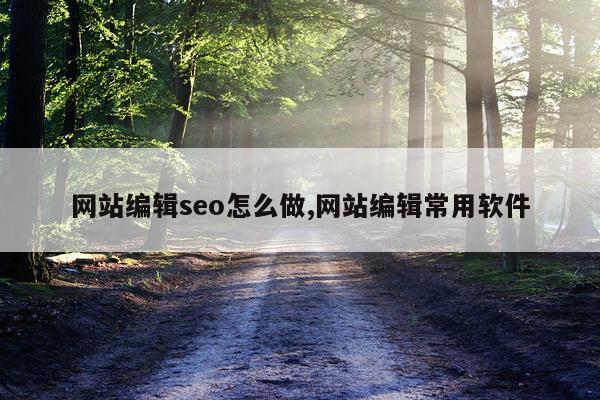 网站编辑seo怎么做,网站编辑常用软件