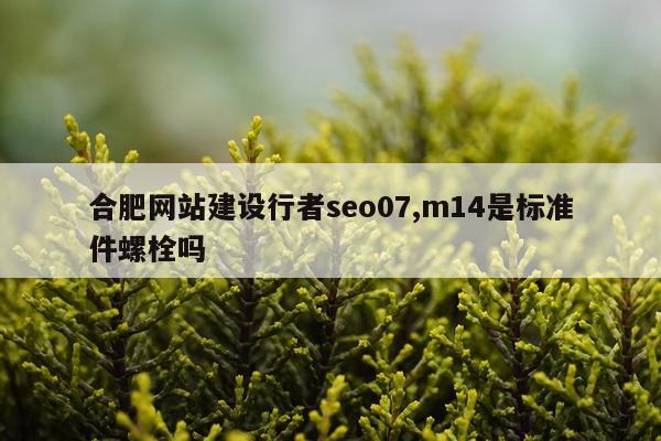 合肥网站建设行者seo07,m14是标准件螺栓吗