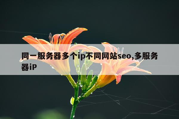 同一服务器多个ip不同网站seo,多服务器iP