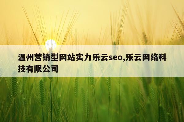 温州营销型网站实力乐云seo,乐云网络科技有限公司