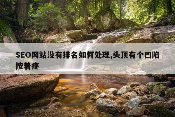 SEO网站没有排名如何处理,头顶有个凹陷按着疼