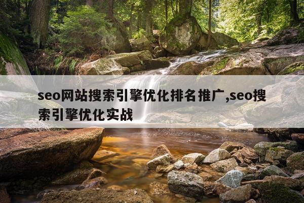 seo网站搜索引擎优化排名推广,seo搜索引擎优化实战