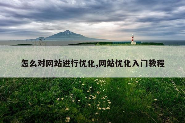怎么对网站进行优化,网站优化入门教程