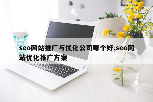 seo网站推广与优化公司哪个好,seo网站优化推广方案