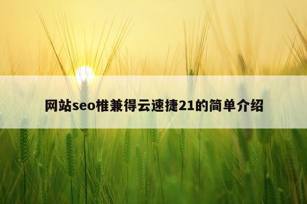 网站seo椎兼得云速捷21的简单介绍