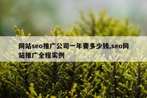 网站seo推广公司一年要多少钱,seo网站推广全程实例