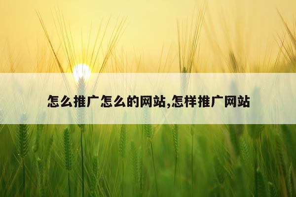怎么推广怎么的网站,怎样推广网站