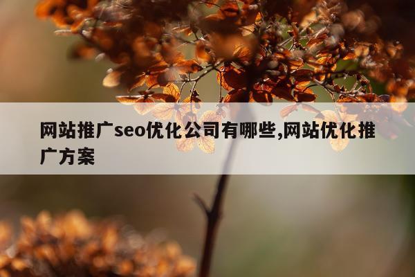 网站推广seo优化公司有哪些,网站优化推广方案