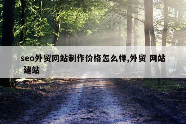 seo外贸网站制作价格怎么样,外贸 网站 建站