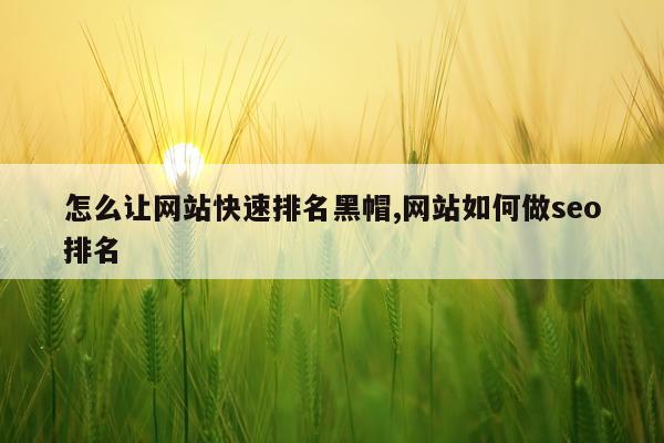 怎么让网站快速排名黑帽,网站如何做seo排名