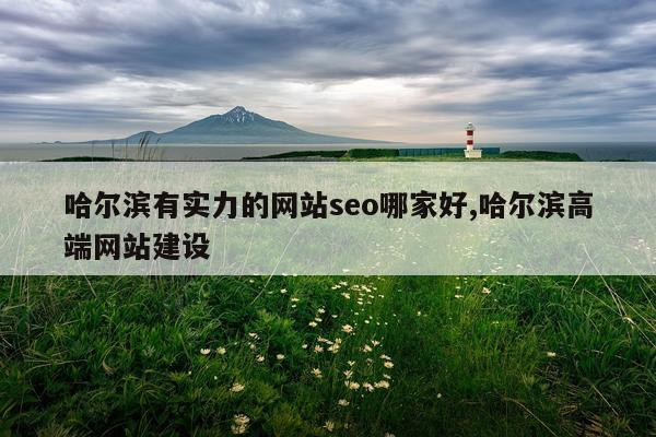 哈尔滨有实力的网站seo哪家好,哈尔滨高端网站建设