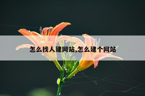 怎么找人建网站,怎么建个网站
