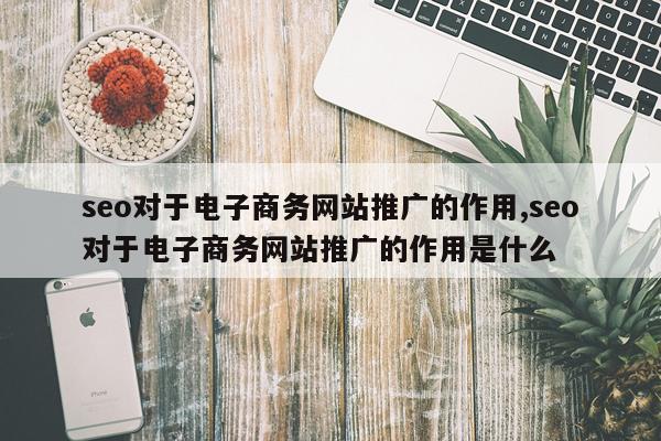 seo对于电子商务网站推广的作用,seo对于电子商务网站推广的作用是什么