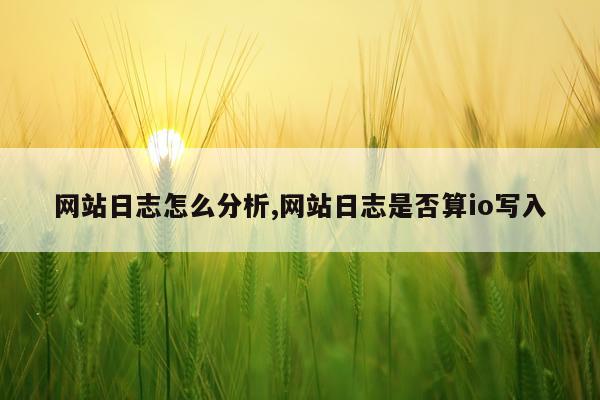 网站日志怎么分析,网站日志是否算io写入