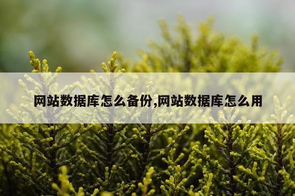 网站数据库怎么备份,网站数据库怎么用