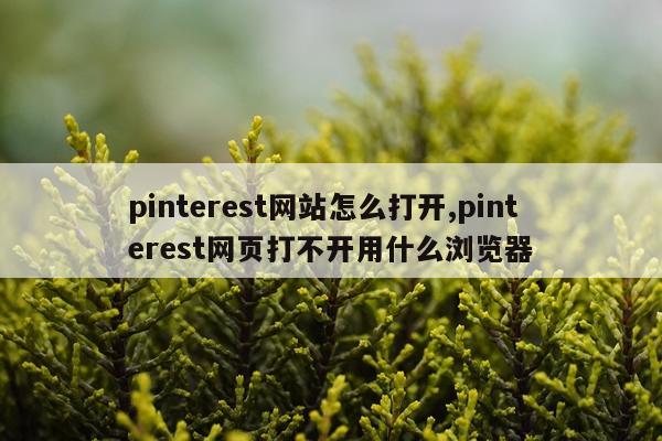 pinterest网站怎么打开,pinterest网页打不开用什么浏览器