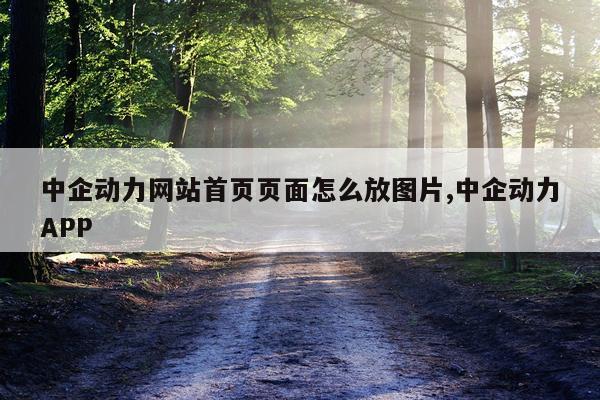 中企动力网站首页页面怎么放图片,中企动力APP