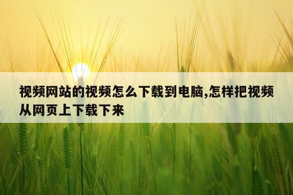 视频网站的视频怎么下载到电脑,怎样把视频从网页上下载下来