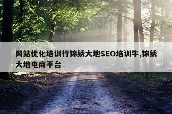 网站优化培训行锦绣大地SEO培训牛,锦绣大地电商平台