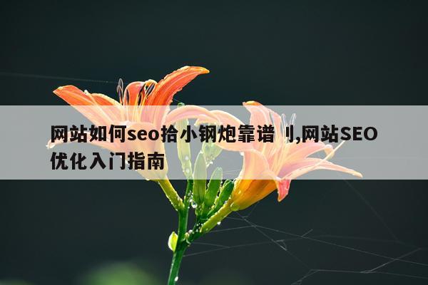 网站如何seo拾小钢炮靠谱刂,网站SEO优化入门指南