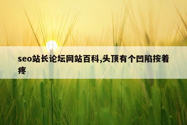 seo站长论坛网站百科,头顶有个凹陷按着疼