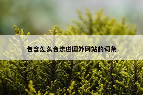 包含怎么合法进国外网站的词条