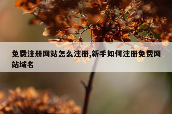 免费注册网站怎么注册,新手如何注册免费网站域名