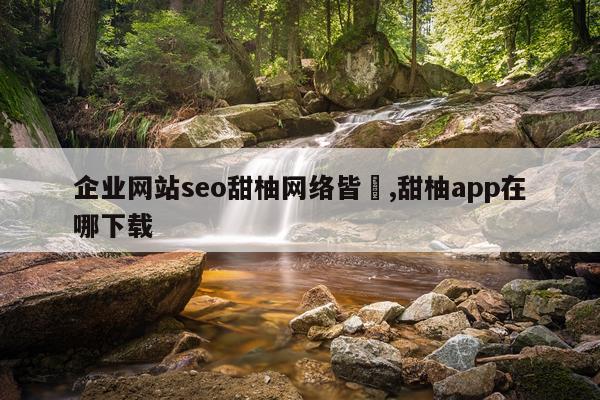 企业网站seo甜柚网络皆選,甜柚app在哪下载