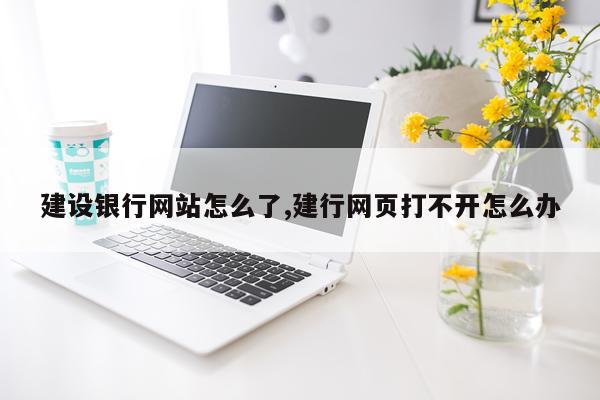 建设银行网站怎么了,建行网页打不开怎么办