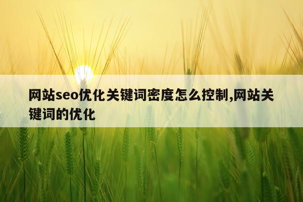 网站seo优化关键词密度怎么控制,网站关键词的优化