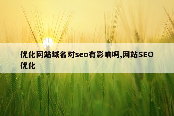 优化网站域名对seo有影响吗,网站SEO优化