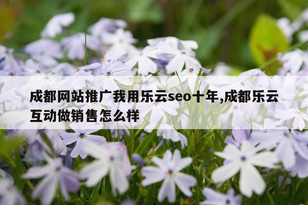 成都网站推广我用乐云seo十年,成都乐云互动做销售怎么样