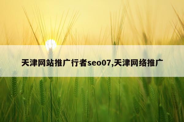 天津网站推广行者seo07,天津网络推广