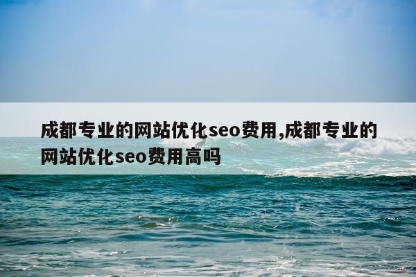 成都专业的网站优化seo费用,成都专业的网站优化seo费用高吗