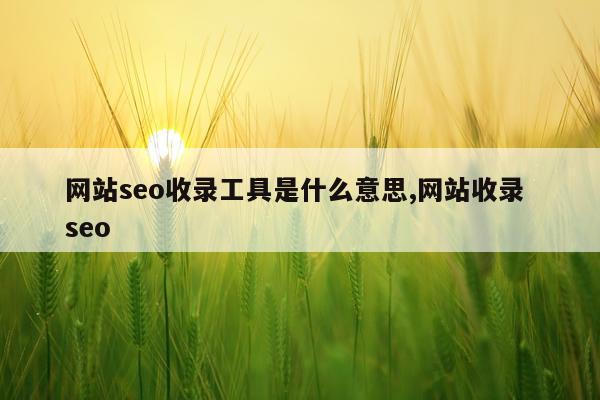 网站seo收录工具是什么意思,网站收录 seo