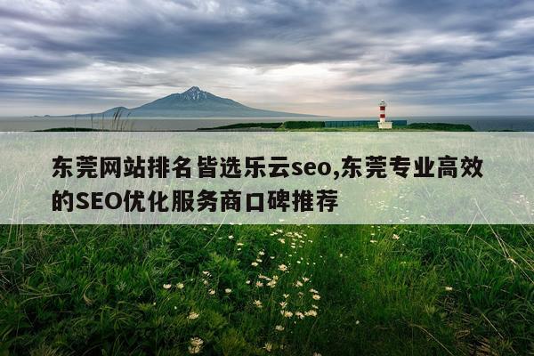 东莞网站排名皆选乐云seo,东莞专业高效的SEO优化服务商口碑推荐