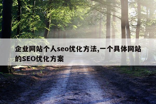企业网站个人seo优化方法,一个具体网站的SEO优化方案