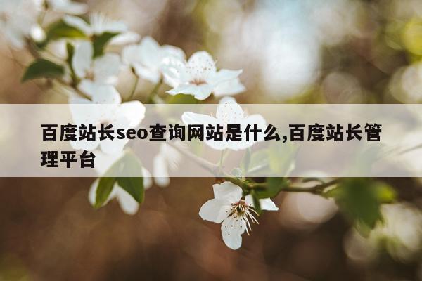 百度站长seo查询网站是什么,百度站长管理平台