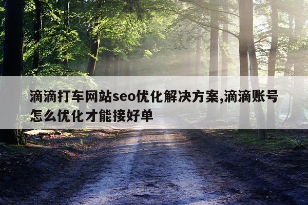 滴滴打车网站seo优化解决方案,滴滴账号怎么优化才能接好单