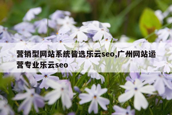 营销型网站系统皆选乐云seo,广州网站运营专业乐云seo