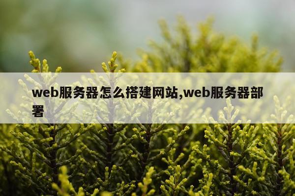 web服务器怎么搭建网站,web服务器部署