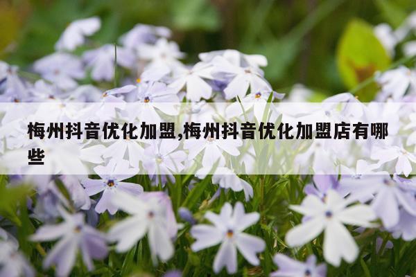 梅州抖音优化加盟,梅州抖音优化加盟店有哪些