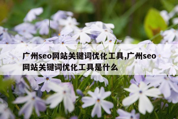 广州seo网站关键词优化工具,广州seo网站关键词优化工具是什么