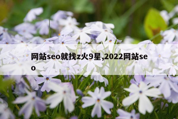网站seo就找z火9星,2022网站seo