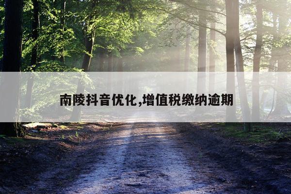 南陵抖音优化,增值税缴纳逾期