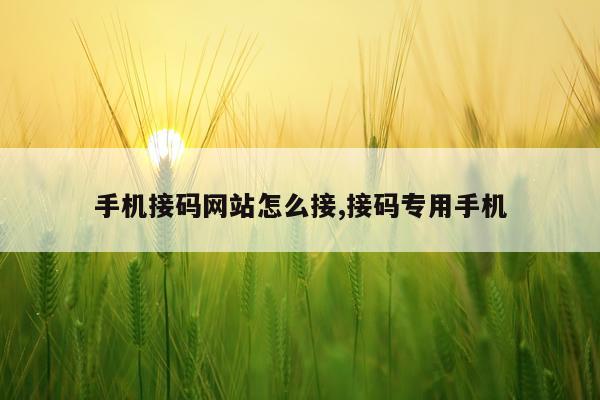 手机接码网站怎么接,接码专用手机