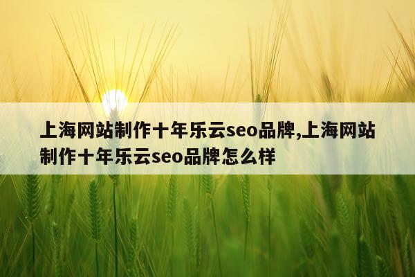 上海网站制作十年乐云seo品牌,上海网站制作十年乐云seo品牌怎么样